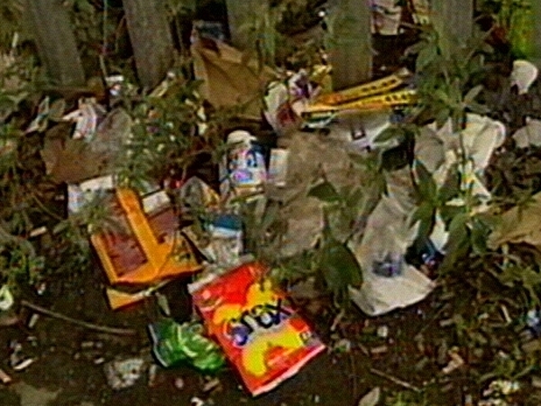 Litter - Three towns described as litter blackspots