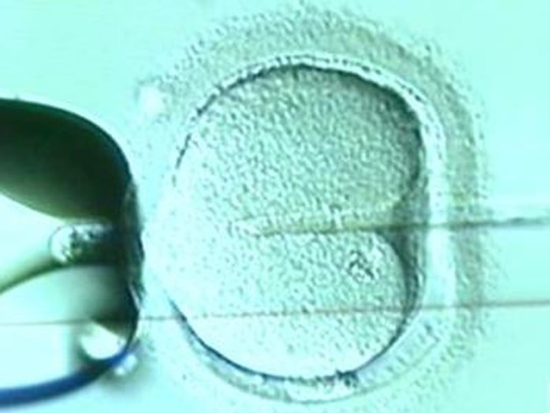 IVF - Treatment failed for couple