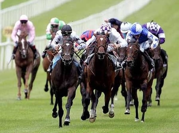 Saturday's Newbury is abandoned