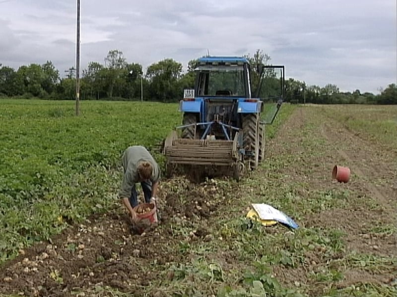 Farming - Agriculture institute marks 50th anniversary