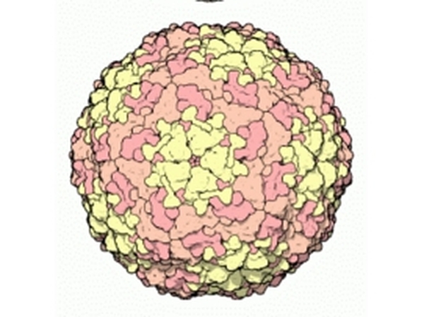 FMD - Disease linked with laboratory