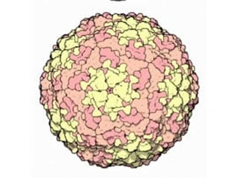 FMD - Disease linked with laboratory