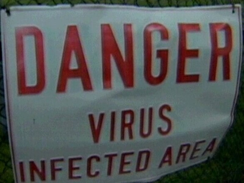 Foot and Mouth - Farm is within the protection zone