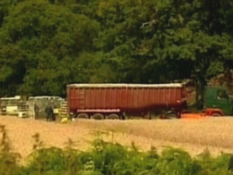 Surrey - Foot and mouth restrictions eased