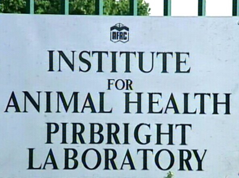 England - Site mentioned in both FMD reports