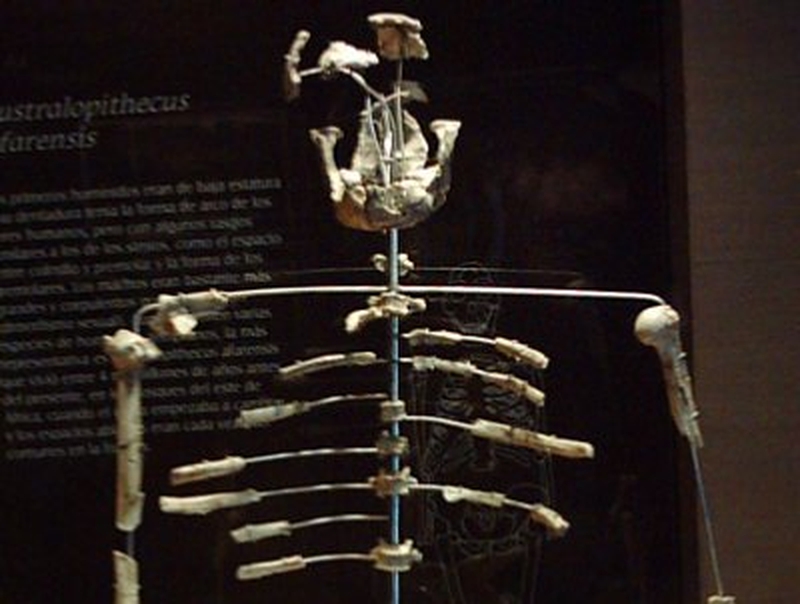 'Lucy' - Footprint could pre-date the ape-woman found in Ethiopia