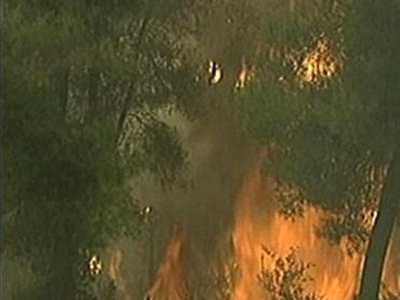 Greece - EU help offered over fires