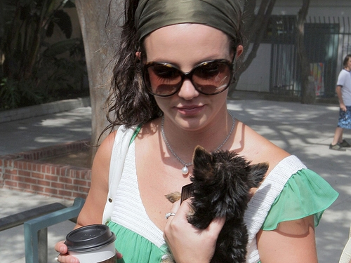 Spears pictured carrying her pet dog