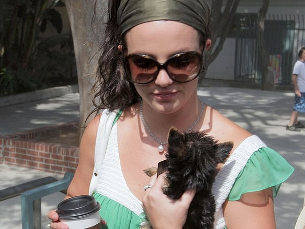 Spears pictured carrying her pet dog