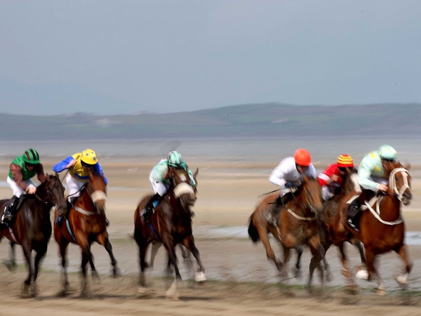 Berry bags double at Laytown