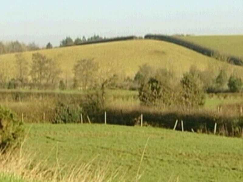 Farms - Weather hindered attempts to spread slurry