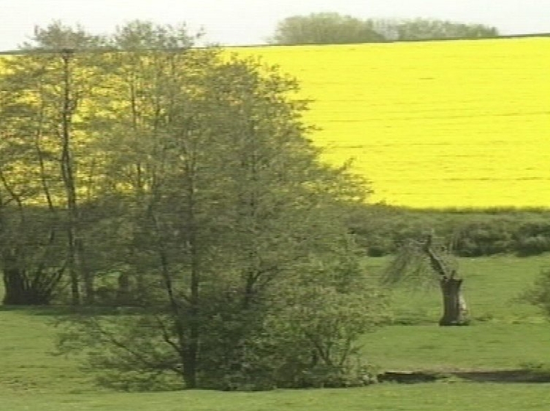 Biofuels - Some early projects damaged environment and exacerbated global poverty