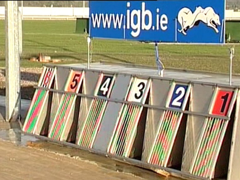 Greyhound racing - Special report on activities of board