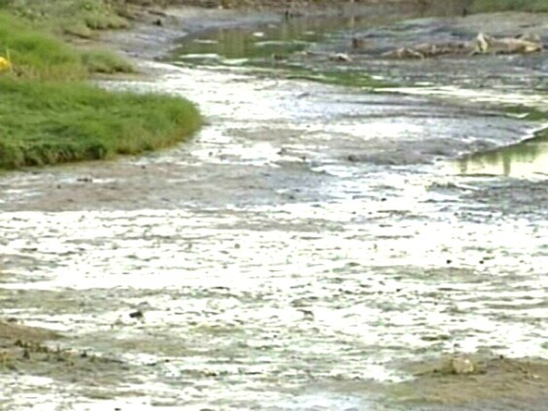 Water quality - Study found human &amp; animal waste in waters