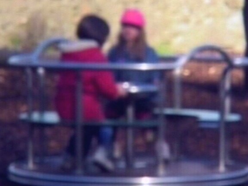 Children - Referendum will not be held this year