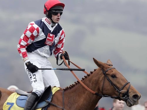 Ruby Walsh partnered Taranis to Cheltenham Festival success