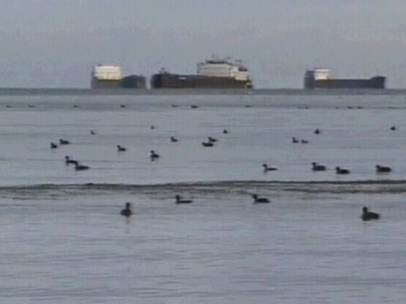 Black Sea - Storm sank ships and split open an oil tanker