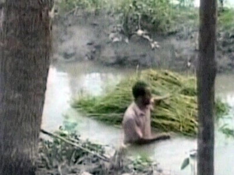 Bangladesh - Toll now 3,100