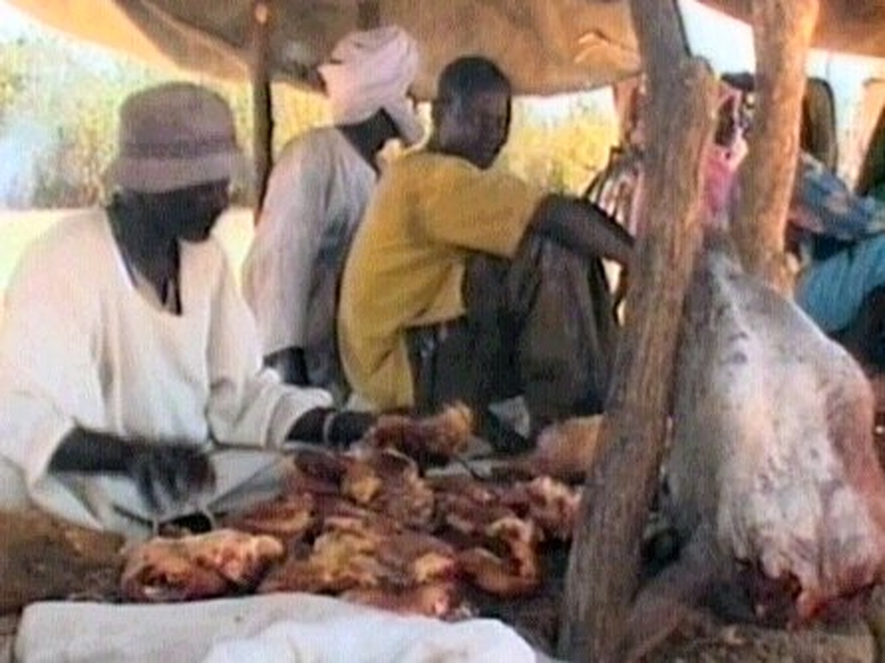 Chad - Thousands have been arriving from Darfur