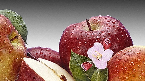 Apple and Cider Butter