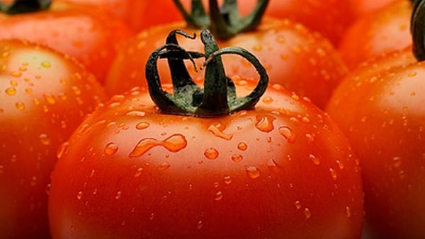 Catherine Fulvio's Tomato Sauce