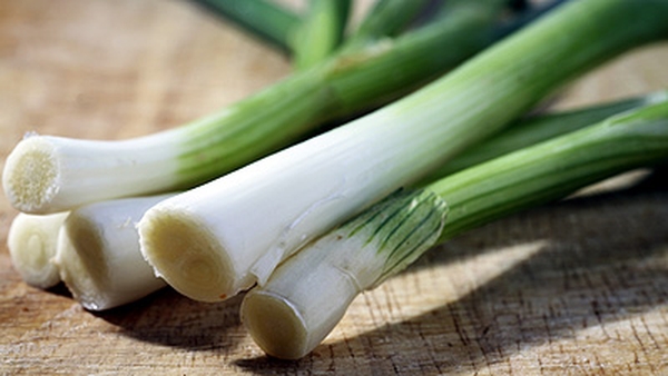 Fennel and Turkey Salad