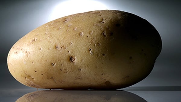 Potato prices up 4.4% in September
