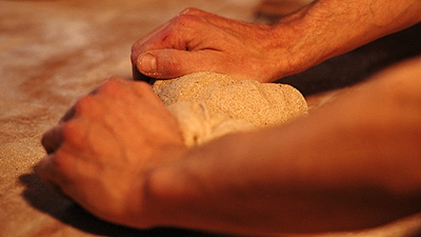 Basic pasta dough