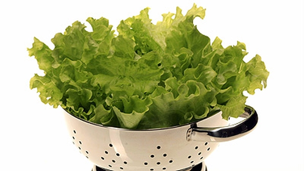 Green Salad with fresh herbs