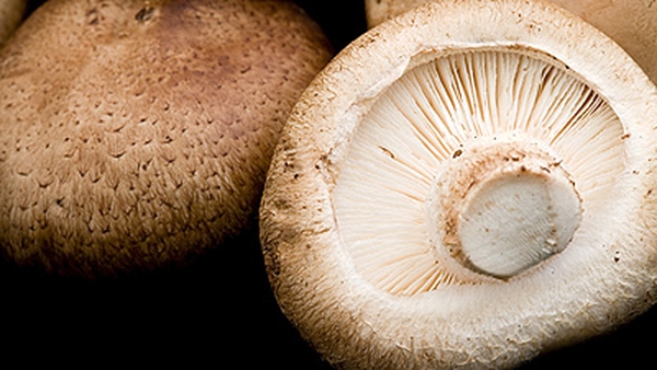Parmesan Polenta with Wild Mushrooms and Chestnuts