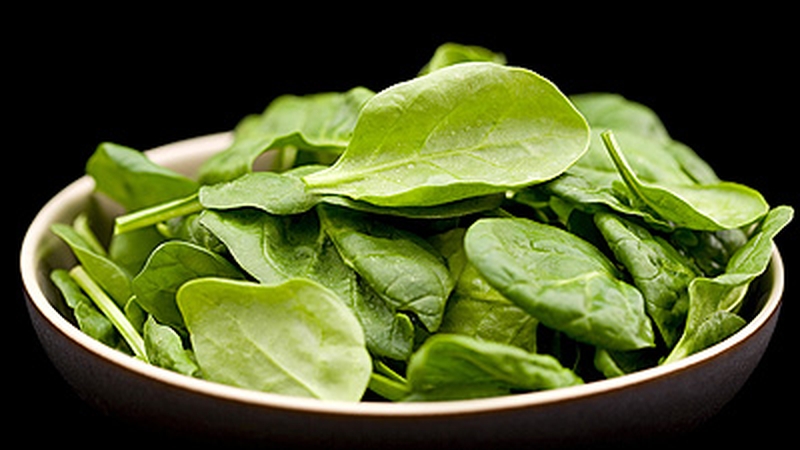 Spinach Pancakes with Mornay Sauce