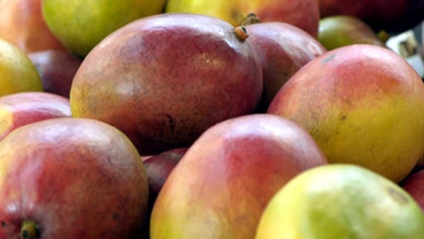 Mango Yoghurt