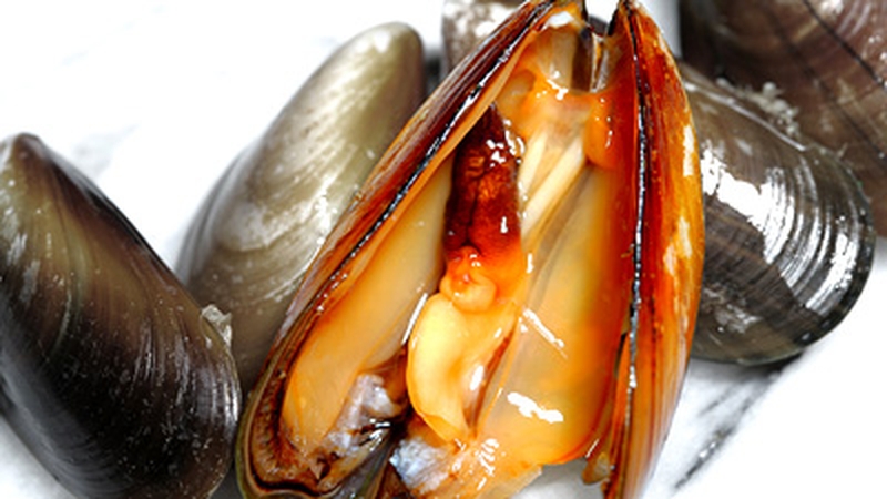 Richard Corrigan's Wild Irish Mussel Cocktail