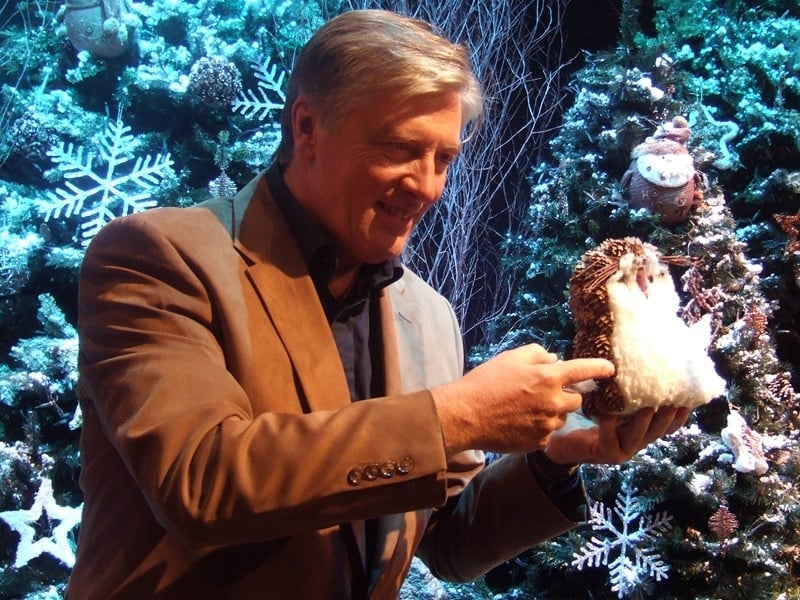 The fun begins on RTÉ One at 9.30pm