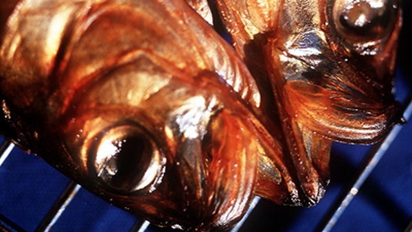 Grilled Kippers