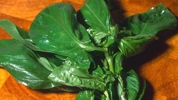 Basil Pesto
