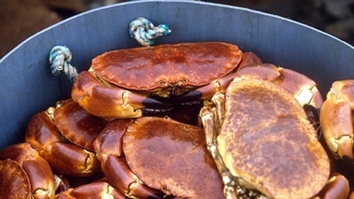 Richard Corrigan's Crab with Dressed Jerusalem Artichokes