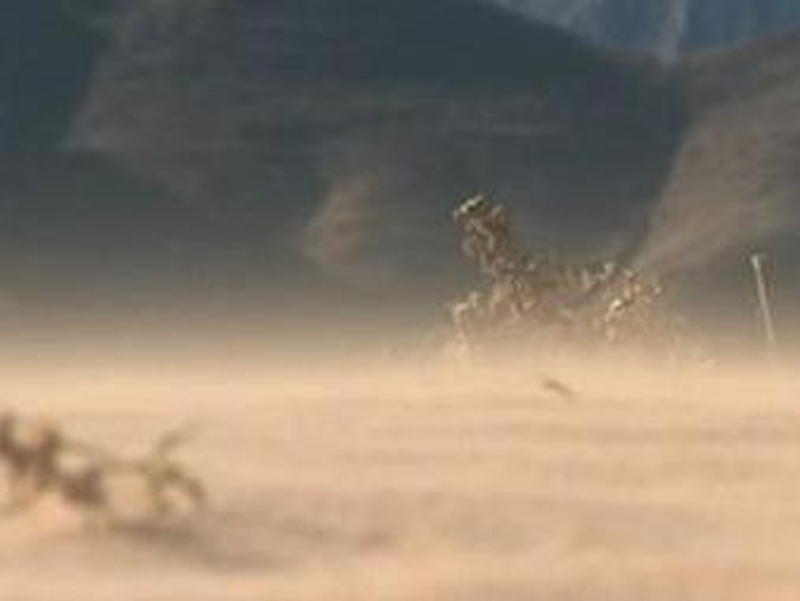 Climate change - EU yet to finalise pre-Copenhagen stance