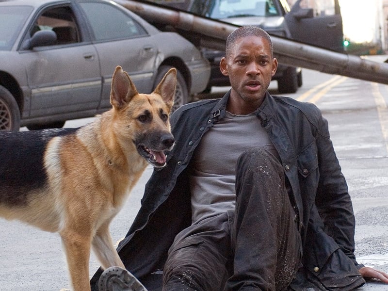 Too short for what it wanted to be