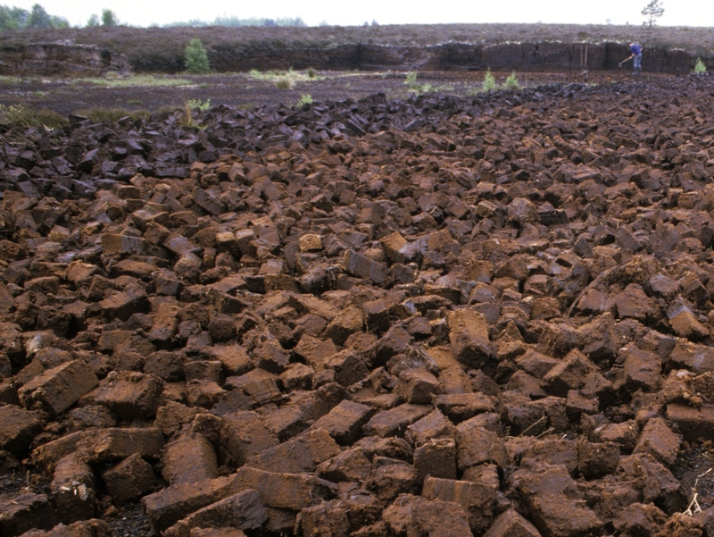 Irish peat bog - Skin-care formula yet to be devised