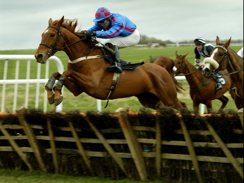 Horse racing - Crowds up 1%