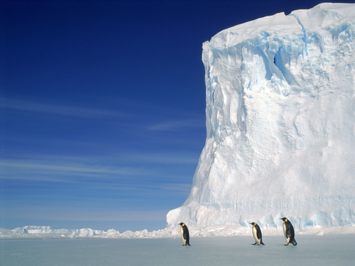 Antarctic - Steepest temperature rises on earth