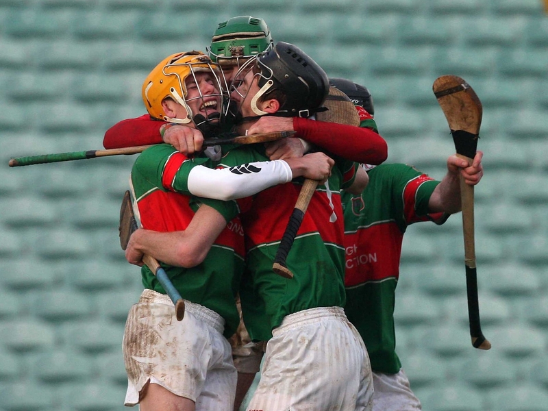 Loughmore-Castleiney players celebrate their Munster final victory over Tulla