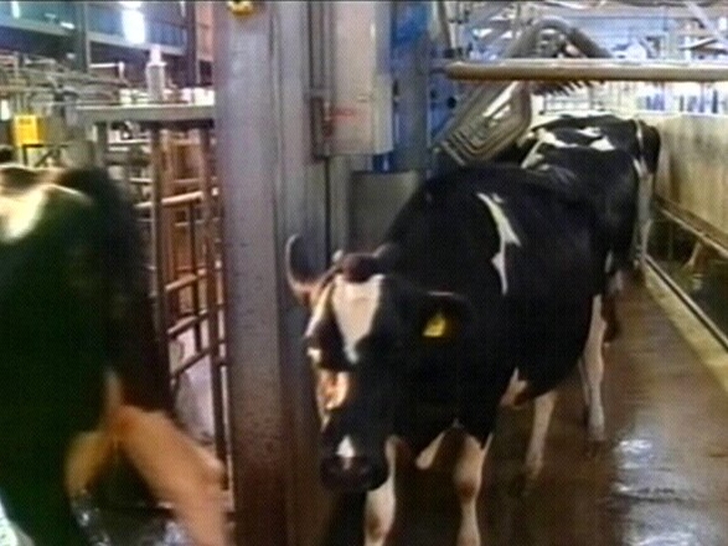 Agriculture - IFA warning