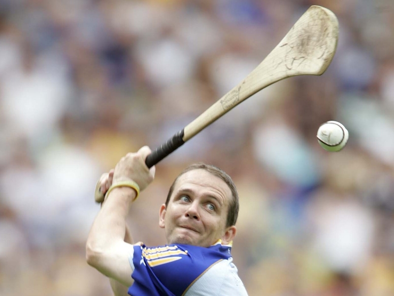Davy Fitzgerald has quit inter-county hurling