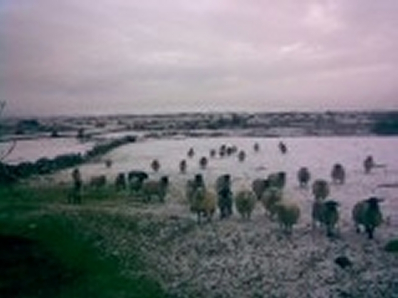 Galway - Heaviest snowfalls in the west