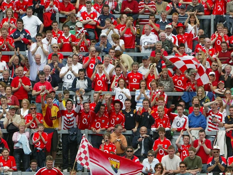 A poll conducted by RED C showed considerable support for the Cork players