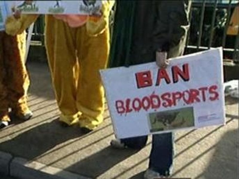 Protest - Ban of blood sports sought