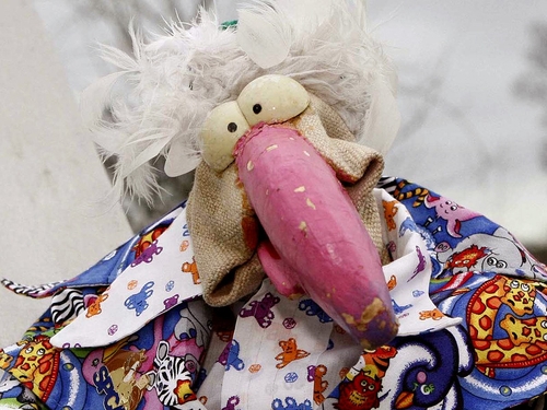 Dustin the Turkey - Our bird in Belgrade