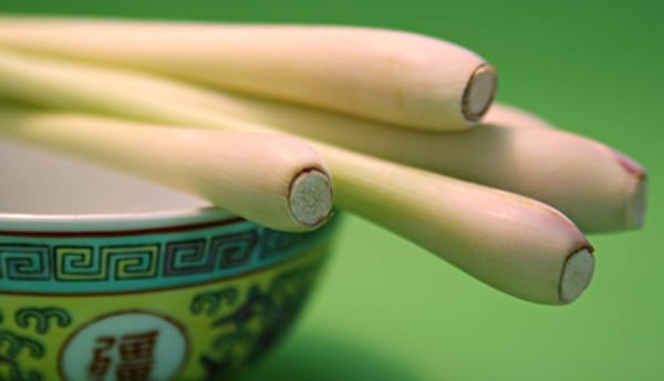 Lemongrass cream with rhubarb confit and almond tu
